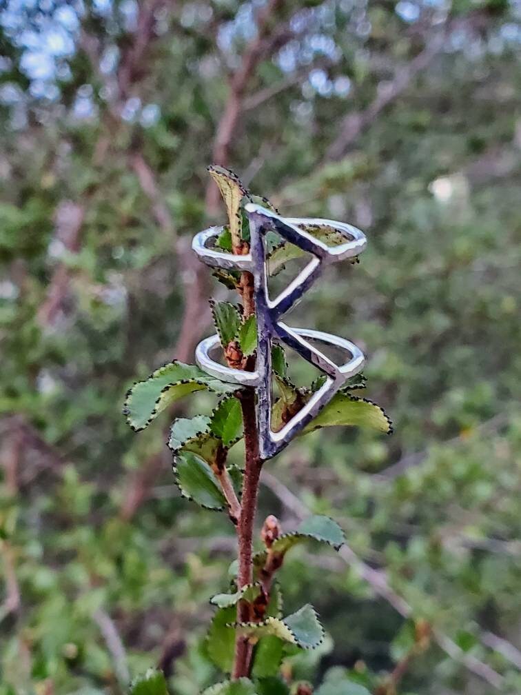 Berkano Berkana Sterling Silver Rune Ring - Healing, Rebirth, Growth - Elder Futhark Runes - Made to Order